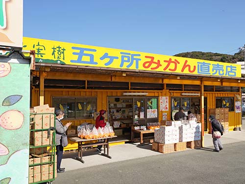 (株)土実樹農園